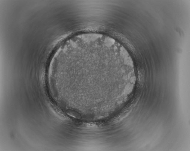 X0000110760588200907271145
