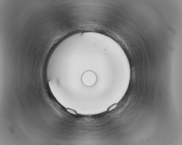 X0000110760589200907271145