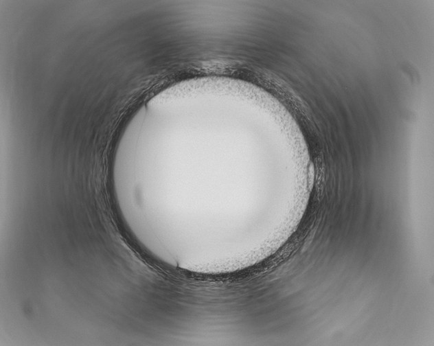 X0000110760593200907271145