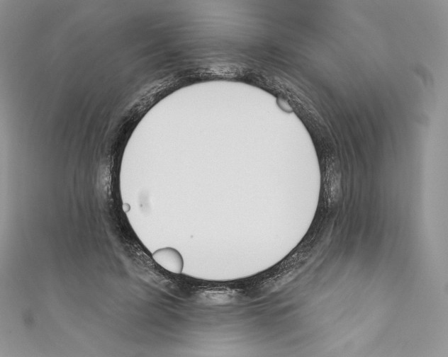 X0000110760595200907271145