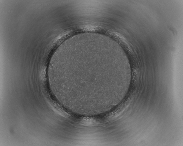 X0000110760596200907271145