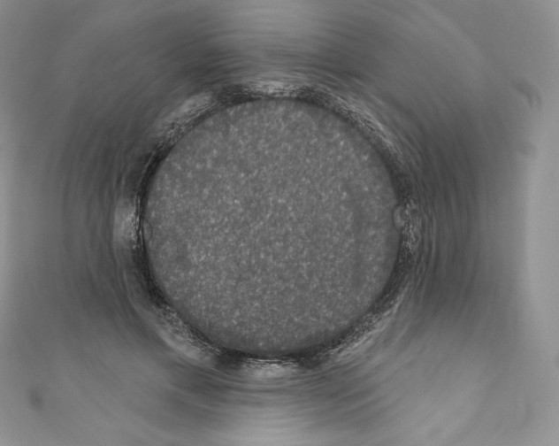 X0000110760597200907271145