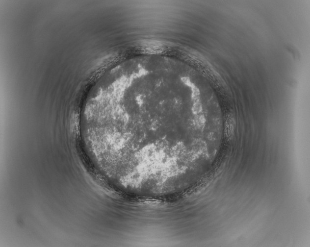X0000110760598200907271145