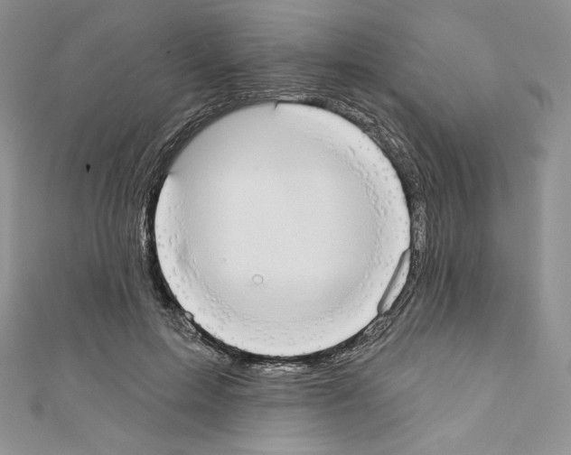 X0000110760599200907271145