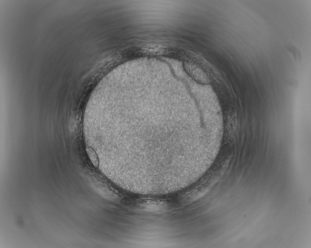 X0000110760601200907271145