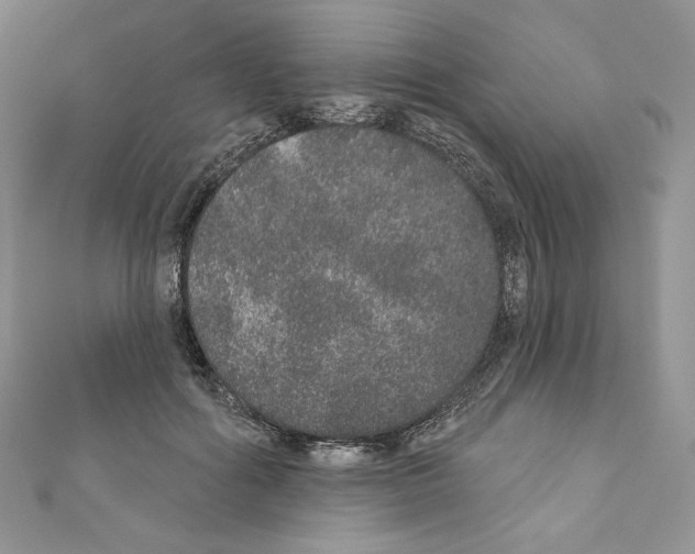 X0000110760602200907271145