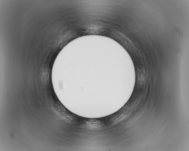 X0000110760603200907271145