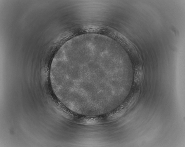 X0000110760604200907271145