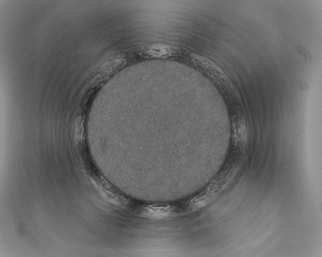 X0000110760606200907271145
