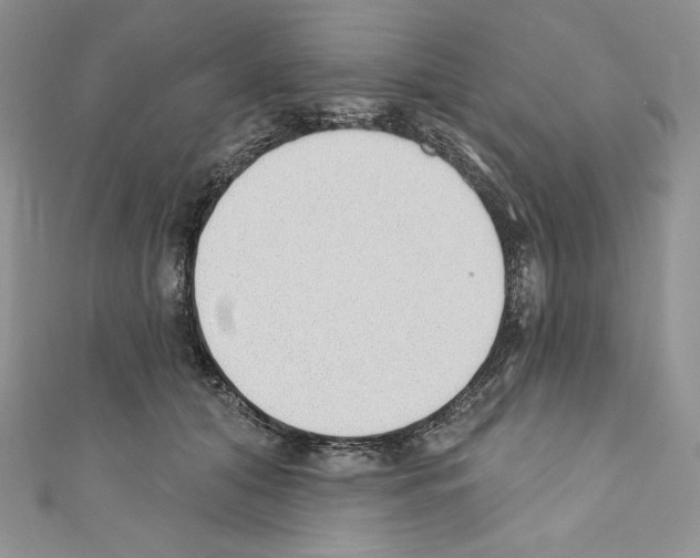 X0000110760608200907271145