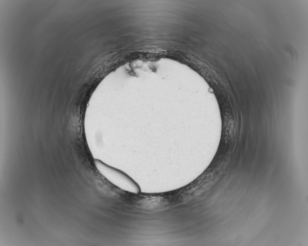 X0000110760609200907271145