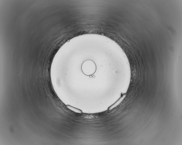 X0000110760611200907271145