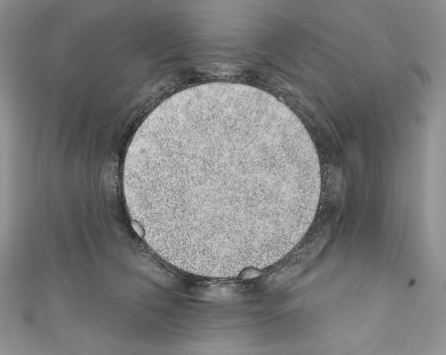 X0000110760612200907271145