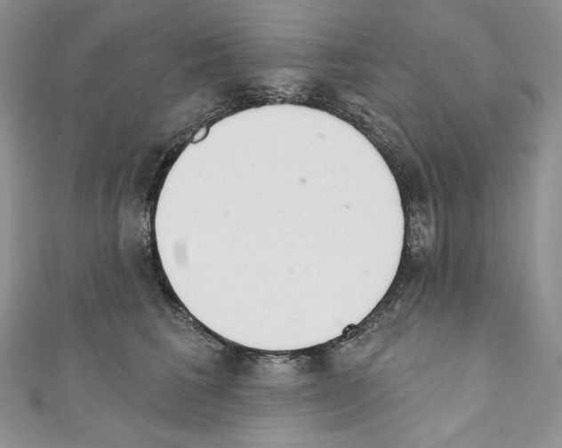 X0000110760613200907271145