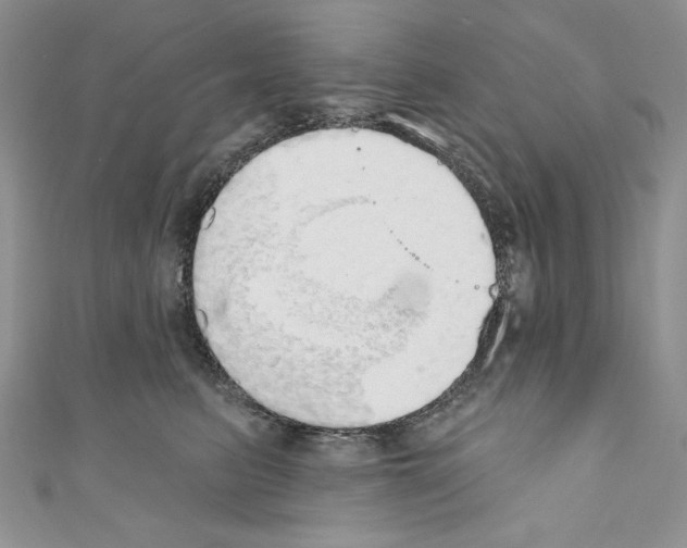 X0000110760615200907271145