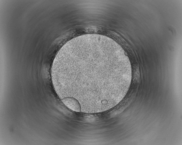 X0000110760616200907271145