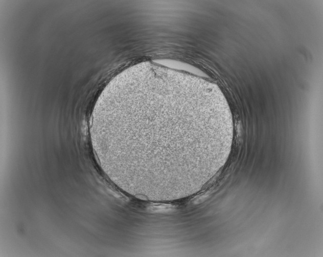 X0000110760617200907271145