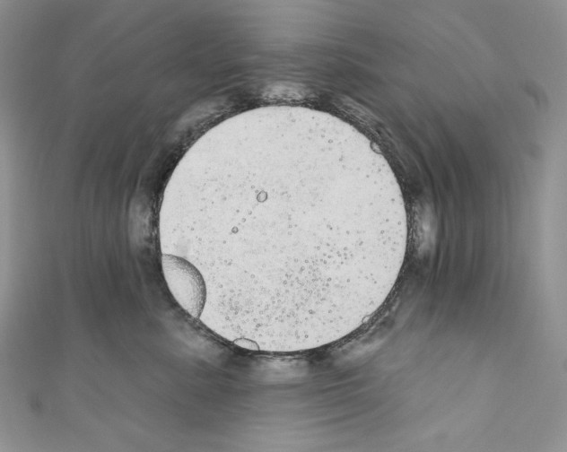 X0000110760619200907271145