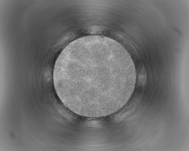 X0000110760620200907271145