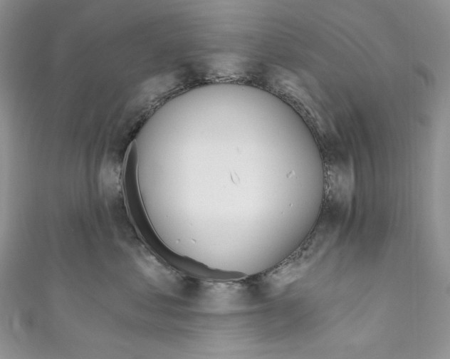 X0000110760621200907271145