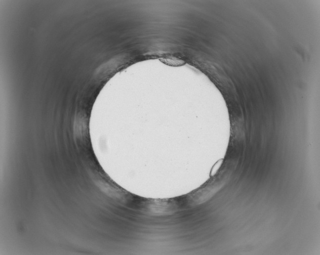 X0000110760623200907271145