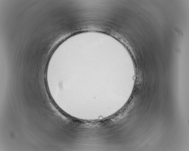 X0000110760625200907271144