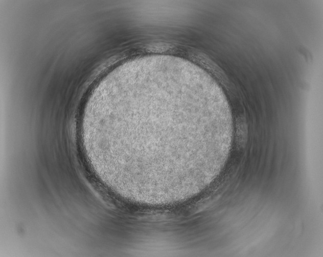 X0000110760626200907271144
