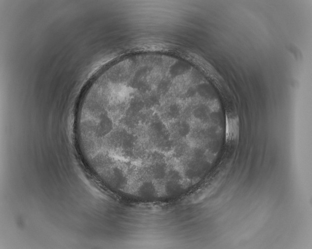 X0000110760627200907271144