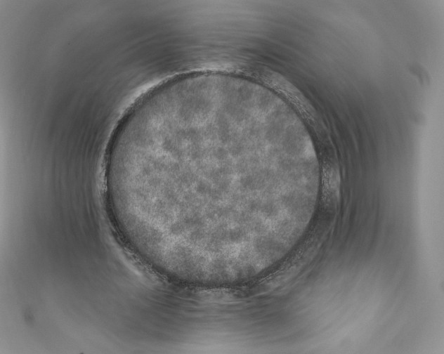 X0000110760628200907271144