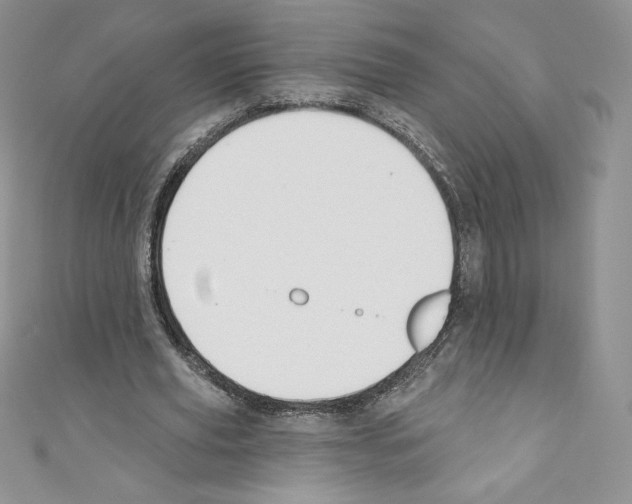 X0000110760629200907271144