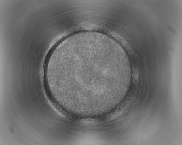 X0000110760630200907271144