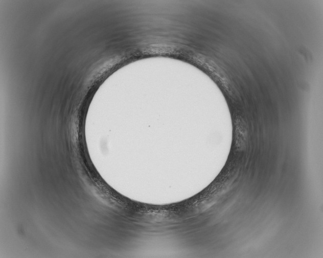 X0000110760631200907271144