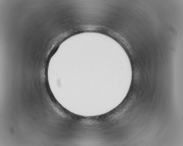 X0000110760633200907271144