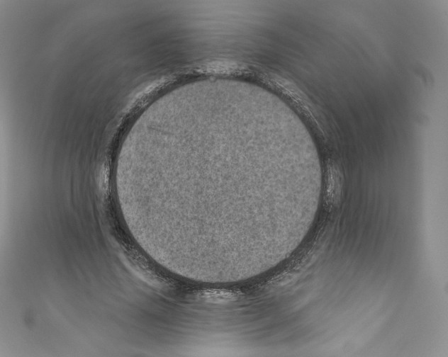 X0000110760636200907271144