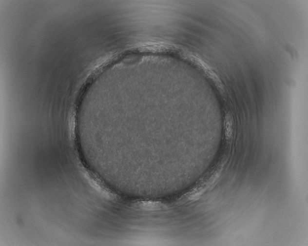 X0000110760637200907271144
