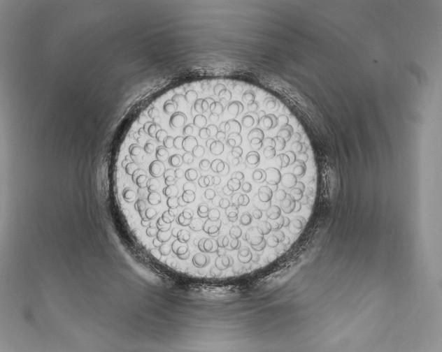 X0000110760638200907271144
