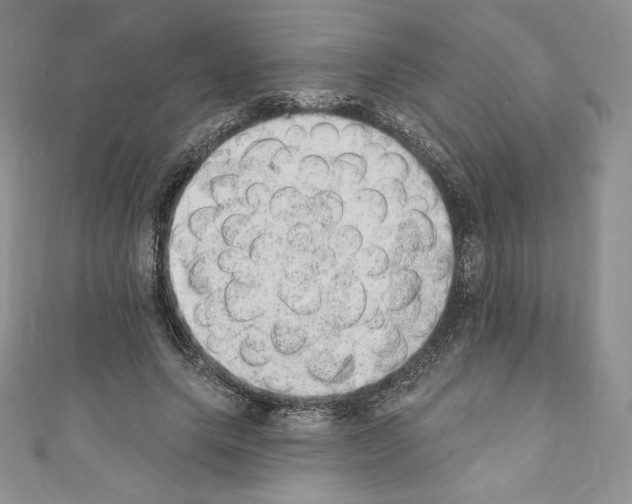 X0000110760639200907271144