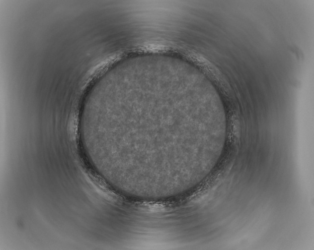 X0000110760640200907271144