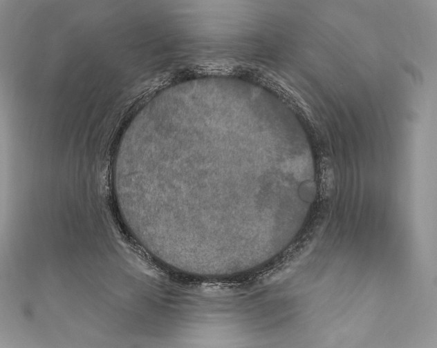 X0000110760641200907271144
