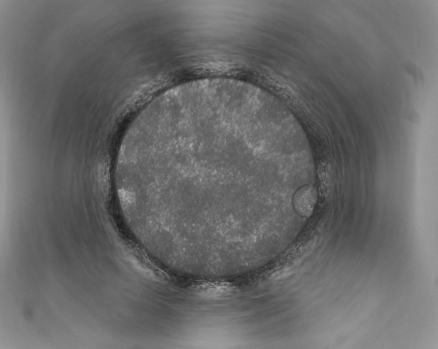 X0000110760642200907271144