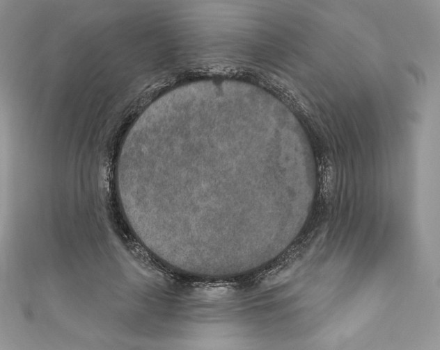 X0000110760643200907271144