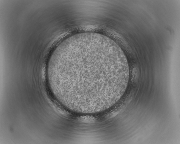X0000110760644200907271144