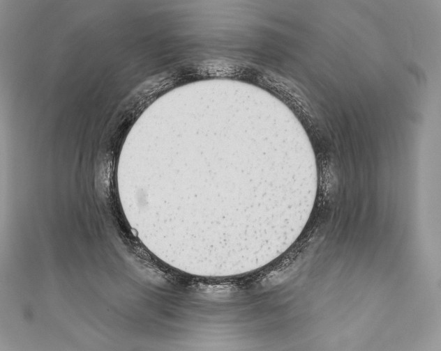X0000110760645200907271144