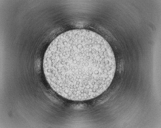 X0000110760646200907271144