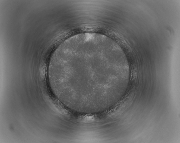X0000110760647200907271144