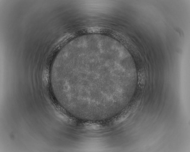 X0000110760648200907271144