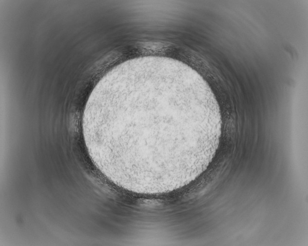 X0000110760649200907271144