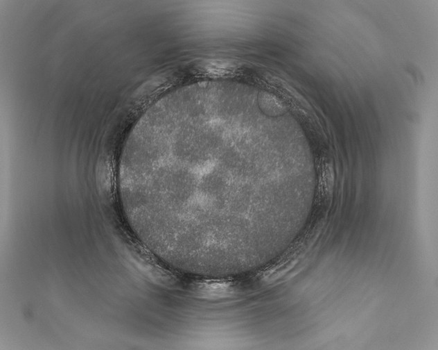 X0000110760651200907271145