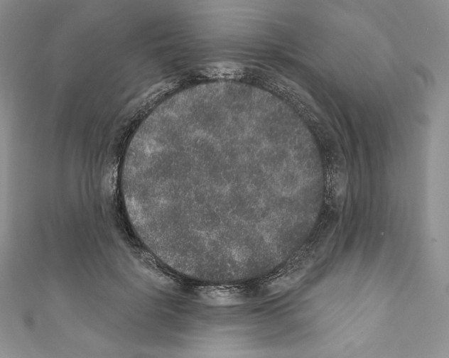 X0000110760652200907271145