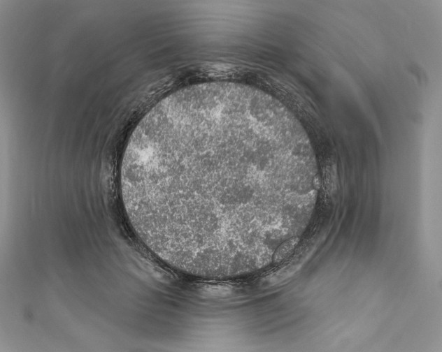 X0000110760653200907271145